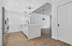 38 Rue du Square-Sir-George-Étienne-Cartier #304, Montréal (Le Sud-Ouest), Quebec H4C0C4