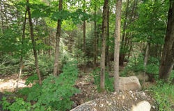 Rue du Guetteur, Sainte-Marguerite-du-Lac-Masson, QC J0T1L0, CA, Sainte-Marguerite-du-Lac-Masson, Quebec J0T1L0