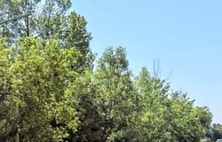 Rue Louis-Hébert, Mascouche, QC J7K0R5, CA, Mascouche, Quebec J7K0R5
