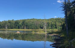 Ch. du Lac-Gustave, Wentworth-Nord, QC J0T1Y0, CA, Wentworth-Nord, Quebec J0T1Y0