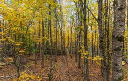 760 Ch. de Denholm, Denholm, Quebec J8N1H3