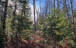 309 6e Rang, Sainte-Françoise, Quebec G0L3B0
