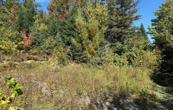 Av. Ste-Brigitte, Sainte-Brigitte-de-Laval, Quebec G0A3K0