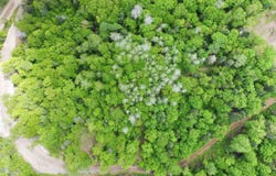 10 Ch. de la Côte, Trois-Rives, QC G0X2C0, CA, Trois-Rives, Quebec G0X2C0