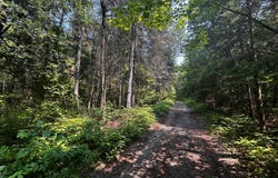 Ch. du Marécage, Alma, Quebec G8B5V3