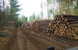 Grande Côte E., Lanoraie, Quebec J0K1E0