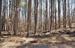 29 Ch. Pine Ridge, La Pêche, Quebec J0X3G0