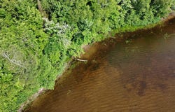 Ch. des Sureaux, Nominingue, Quebec J0W1R0
