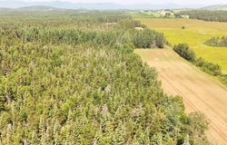 Route 138, Saint-Hilarion, Quebec G0A3V0