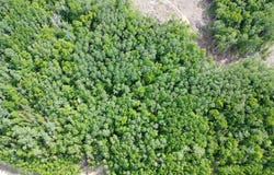 Ch. du Friche , Clermont, QC G4A1E9, CA, Clermont, Quebec G4A1E9