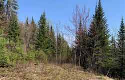 Ch. de la Croix, Clermont, Quebec G0T1S0