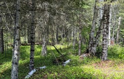 Boul. Fernand-Lafontaine, Rivière-Rouge, Quebec J0T2X0