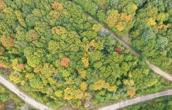Ch. du Lac-de-la-Grange, Amherst, Quebec J0T2T0