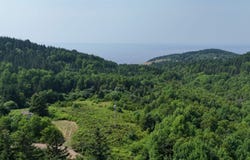 798 Mountain Road, Mabou Mines, Nova Scotia B0E 1X0