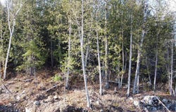Route 309 N., Notre-Dame-de-Pontmain, QC J0W1S0, CA, Notre-Dame-de-Pontmain, Quebec J0W1S0