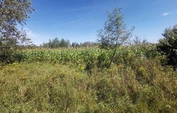 Route 243, Racine, Quebec J0E1Y0
