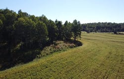 4e rang de Gravel, Ferme-Neuve, Quebec J0W1C0