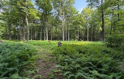 Ch. du Pipeline, Potton, Quebec J0E1X0