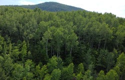 Ch. du Friche , Clermont, QC G4A1E9, CA, Clermont, Quebec G4A1E9
