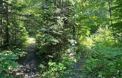 Rue de la Seigneurie, Beaupré, QC G0A1E0, CA, Beaupré, Quebec G0A1E0