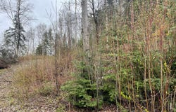 Ch. du Boisé, Alma, Quebec G8E0A5