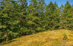 1 Main Rd, Lasqueti Island, British Columbia V0R 2J0