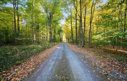 203 Barnes Road, Brighton, Ontario K0K1H0