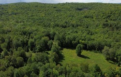 Mtée Alexandre, La Minerve, Quebec J0T1S0