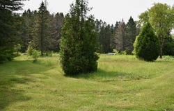 Route 352, Saint-Adelphe, QC G0X2G0, CA, Saint-Adelphe, Quebec G0X2G0
