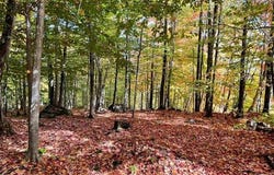 Ch. des Cumulus, Wentworth-Nord, QC J0T1Y0, CA, Wentworth-Nord, Quebec J0T1Y0