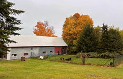 104Z Route Pouliot, Saint-Christophe-d'Arthabaska, Quebec G6R0N3