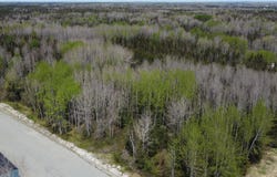Av. du Lac, Preissac, Quebec J0Y2E0