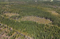 Route 108 O., Stornoway, QC G0Y1N0, CA, Stornoway, Quebec G0Y1N0