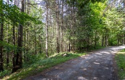 325 Rue Giguère, Vallée-Jonction, QC G0S3J0, CA, Vallée-Jonction, Quebec G0S3J0