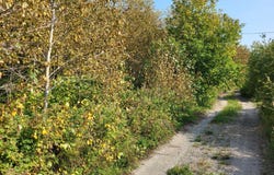 2e rang de Neigette E., Saint-Anaclet-de-Lessard, Quebec G0K1H0