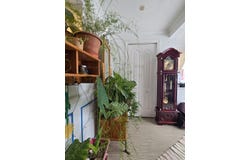 357 Rue Notre-Dame O., Cap-Chat, Quebec G0J1E0