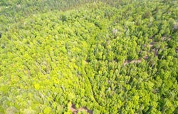 Mtée Beauvais, Val-Morin, QC J0T2R0, CA, Val-Morin, Quebec J0T2R0