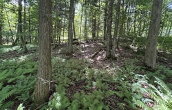 Rue Owl, Lac-Brome, QC J0E1V0, CA, Lac-Brome, Quebec J0E1V0