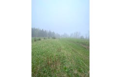 Route 132 O., Grosses-Roches, QC G0J1K0, CA, Grosses-Roches, Quebec G0J1K0