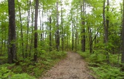 Ch. River, LIsle-aux-Allumettes, QC J0X1M0, CA, L'Isle-aux-Allumettes, Quebec J0X1M0