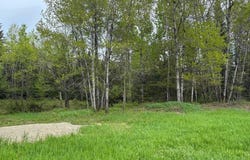 1168 Ch. Picanoc, Otter Lake, Quebec J0X2P0