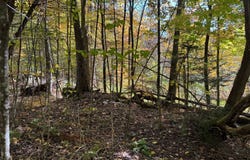 Ch. des Cèdres, Wentworth, Quebec J8H0A9