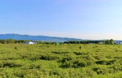 1 Route Blondin, Percé, QC G0C1A0, CA, Percé, Quebec G0C1A0