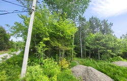 Rue du Faisan, Magog, QC J1X4T9, CA, Magog, Quebec J1X4T9
