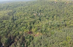 Route 309 S., Ferme-Neuve, Quebec J0W1C0
