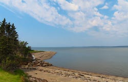 Highway 101 Lot, Brighton, Nova Scotia B0W 1H0