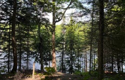 Ch. des Érables, Wentworth, Quebec J8H0E9