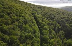 Grant 15819 Marsh Brook Road, Margaree Centre, Nova Scotia B0E 1Z0