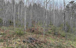 Highway 10 Lot 5, New Germany, Nova Scotia B0R 1E0