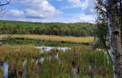 Ch. Léonard, Kiamika, Quebec J0W1G0